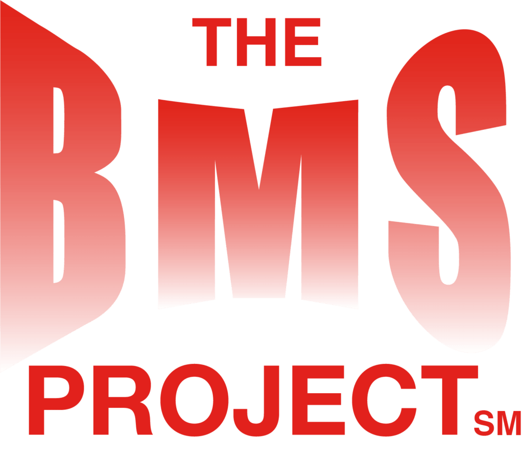 national-mental-health-services-the-bms-project